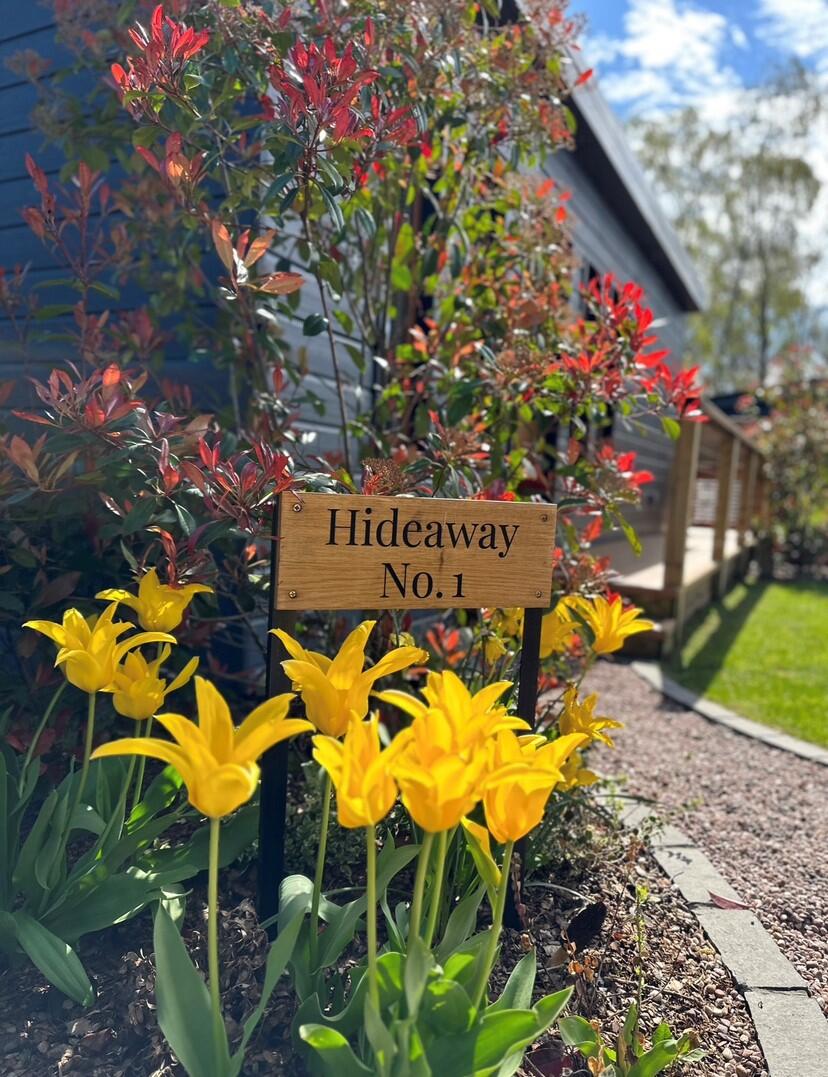 🐝🌸Spring into Action and enjoy 20% off 𝗔𝗡𝗬 2-night stay in March 🪻🐝